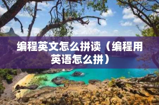 编程英文怎么拼读（编程用英语怎么拼）