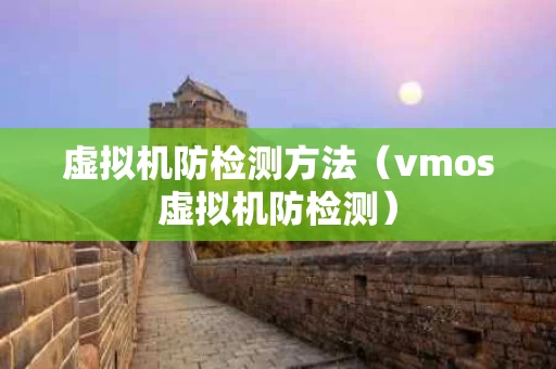 虚拟机防检测方法（vmos虚拟机防检测）