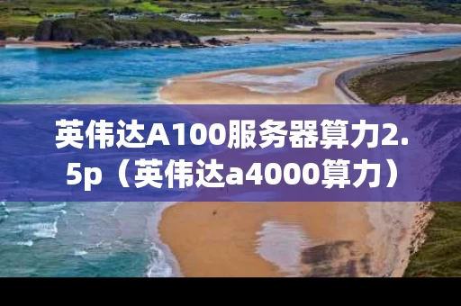 英伟达A100服务器算力2.5p（英伟达a4000算力）