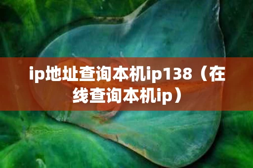 ip地址查询本机ip138（在线查询本机ip）