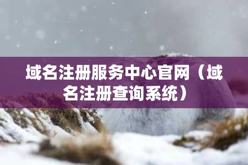 域名注册服务中心官网（域名注册查询系统）