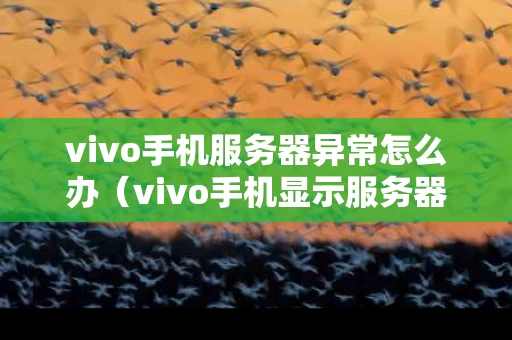 vivo手机服务器异常怎么办（vivo手机显示服务器开小差什么情况）
