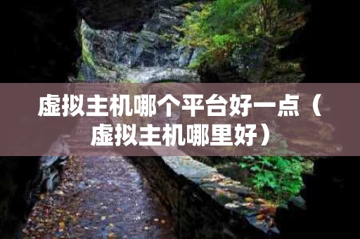 虚拟主机哪个平台好一点（虚拟主机哪里好）