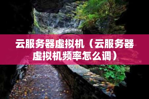 云服务器虚拟机（云服务器虚拟机频率怎么调）