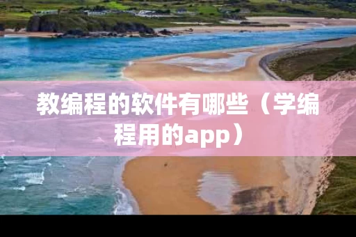 教编程的软件有哪些（学编程用的app）