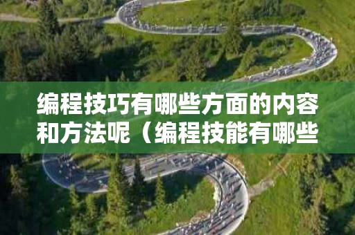 编程技巧有哪些方面的内容和方法呢（编程技能有哪些）