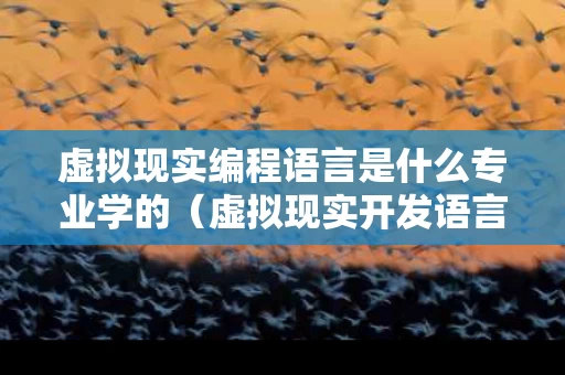 虚拟现实编程语言是什么专业学的（虚拟现实开发语言）