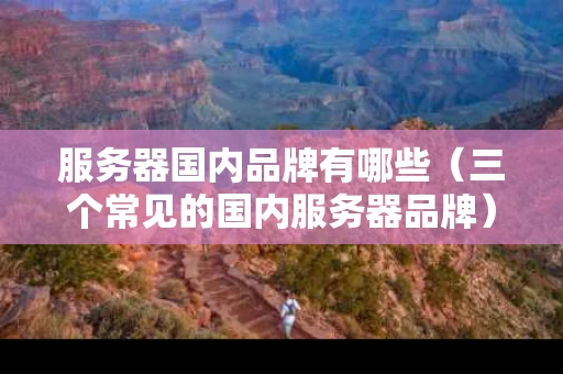 服务器国内品牌有哪些（三个常见的国内服务器品牌）