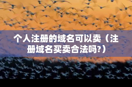 个人注册的域名可以卖（注册域名买卖合法吗?）