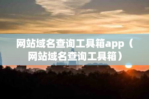 网站域名查询工具箱app（网站域名查询工具箱）