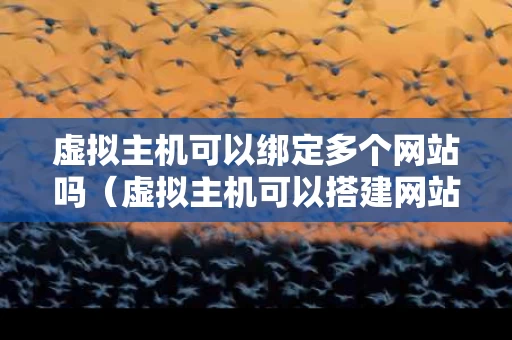 虚拟主机可以绑定多个网站吗（虚拟主机可以搭建网站吗）