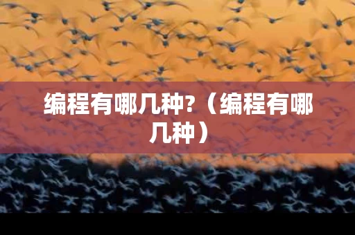 编程有哪几种?（编程有哪几种）