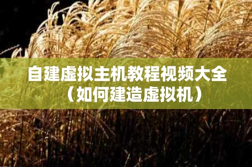 自建虚拟主机教程视频大全（如何建造虚拟机）