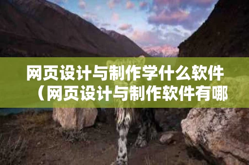 网页设计与制作学什么软件（网页设计与制作软件有哪些）