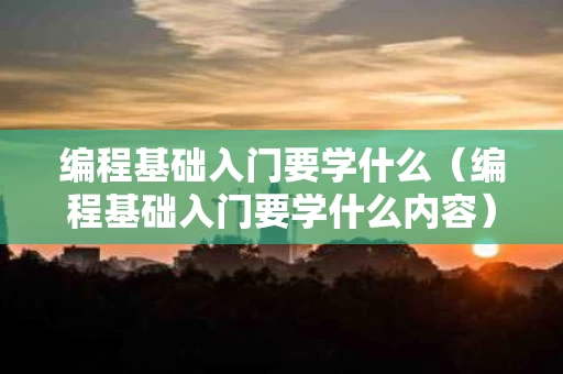编程基础入门要学什么（编程基础入门要学什么内容）