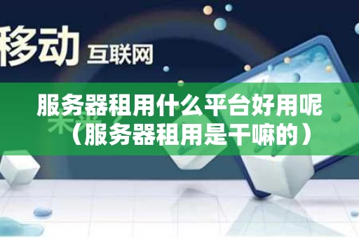 服务器租用什么平台好用呢（服务器租用是干嘛的）