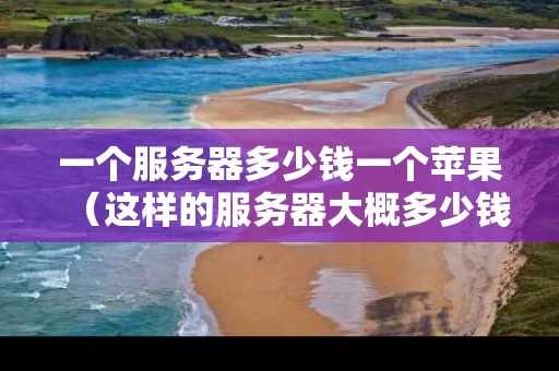 一个服务器多少钱一个苹果（这样的服务器大概多少钱一个月）