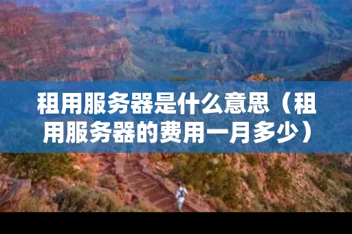 租用服务器是什么意思（租用服务器的费用一月多少）