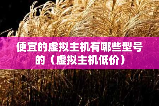 便宜的虚拟主机有哪些型号的（虚拟主机低价）