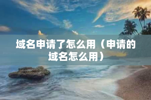 域名申请了怎么用（申请的域名怎么用）