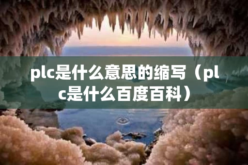 plc是什么意思的缩写（plc是什么百度百科）