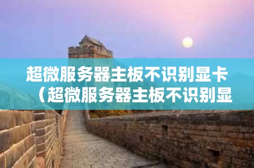 超微服务器主板不识别显卡（超微服务器主板不识别显卡设备）
