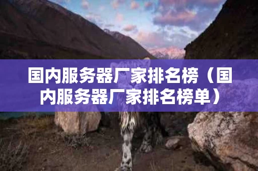 国内服务器厂家排名榜（国内服务器厂家排名榜单）