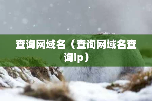 查询网域名（查询网域名查询ip）