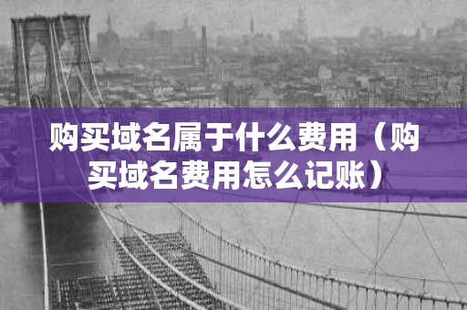 购买域名属于什么费用（购买域名费用怎么记账）