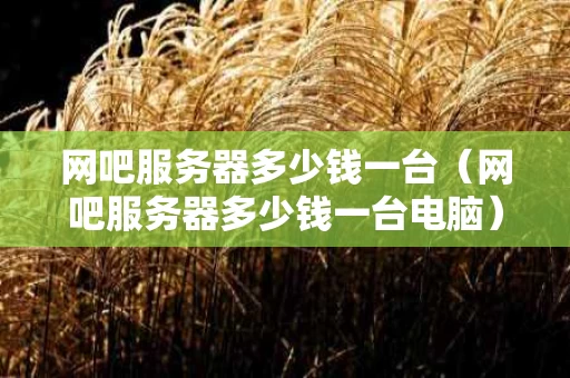 网吧服务器多少钱一台（网吧服务器多少钱一台电脑）