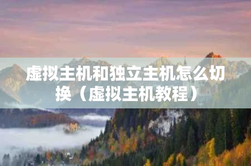 虚拟主机和独立主机怎么切换（虚拟主机教程）