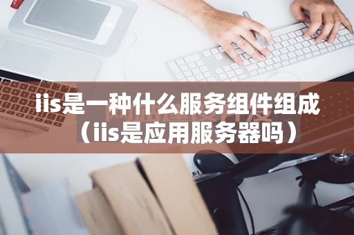 iis是一种什么服务组件组成（iis是应用服务器吗）