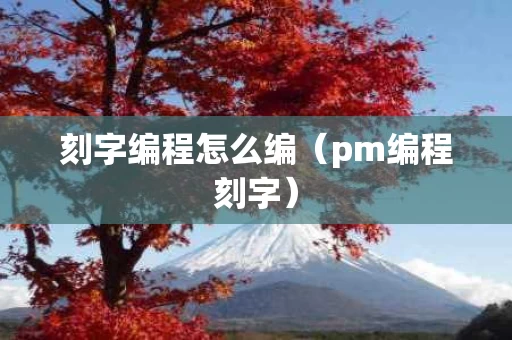 刻字编程怎么编（pm编程刻字）