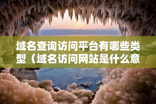 域名查询访问平台有哪些类型（域名访问网站是什么意思）
