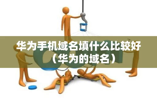 华为手机域名填什么比较好（华为的域名）