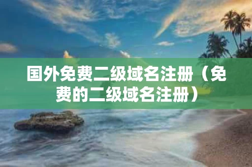 国外免费二级域名注册（免费的二级域名注册）