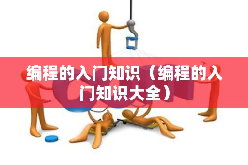 编程的入门知识（编程的入门知识大全）