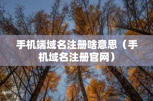 手机端域名注册啥意思（手机域名注册官网）