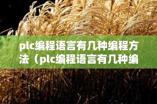 plc编程语言有几种编程方法（plc编程语言有几种编程方法图片）