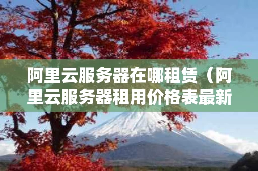 阿里云服务器在哪租赁（阿里云服务器租用价格表最新发布）