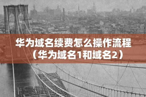 华为域名续费怎么操作流程（华为域名1和域名2）