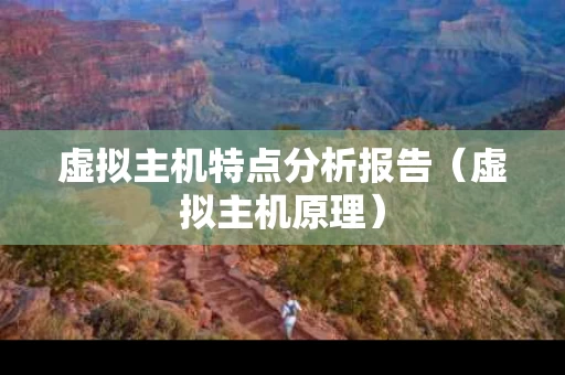 虚拟主机特点分析报告（虚拟主机原理）