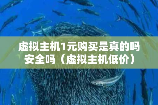 虚拟主机1元购买是真的吗安全吗（虚拟主机低价）