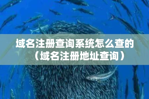 域名注册查询系统怎么查的（域名注册地址查询）