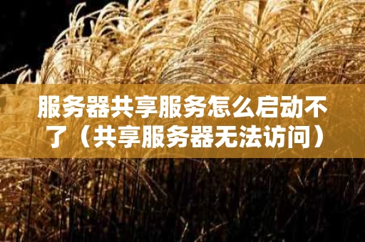 服务器共享服务怎么启动不了（共享服务器无法访问）