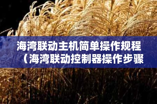 海湾联动主机简单操作规程（海湾联动控制器操作步骤）