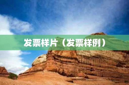 发票样片（发票样例）