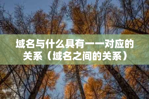 域名与什么具有一一对应的关系（域名之间的关系）