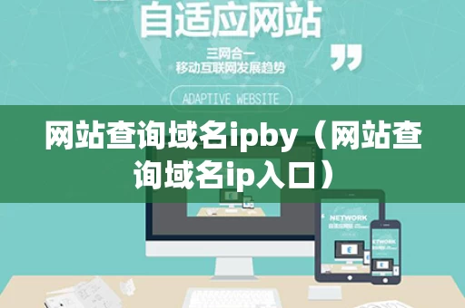 网站查询域名ipby（网站查询域名ip入口）