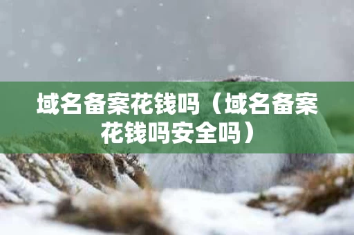 域名备案花钱吗（域名备案花钱吗安全吗）